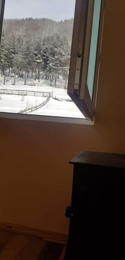 Guesthouse Caucasus Mestia Eksteriør billede