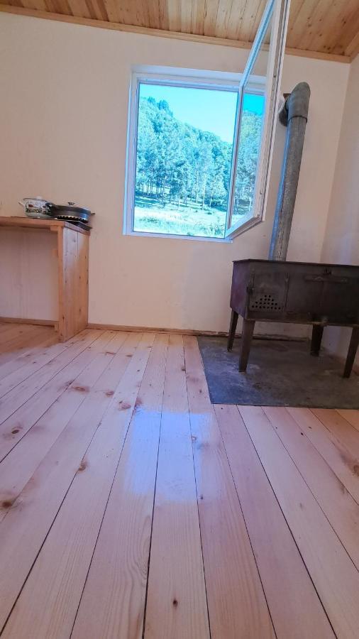 Guesthouse Caucasus Mestia Eksteriør billede
